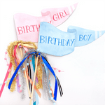 "Birthday Girl" Party Pennant, Shop Sweet Lulu