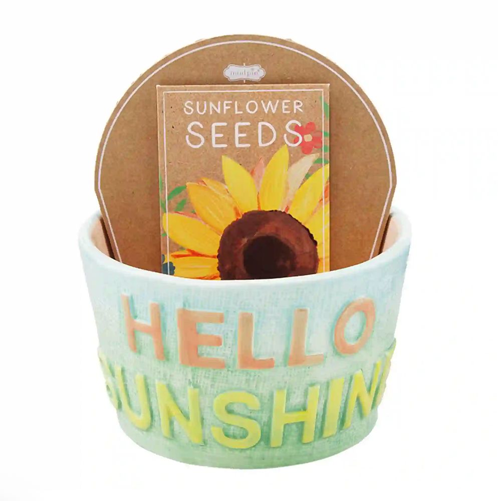 planter sunflower seeds Hello Sunshine