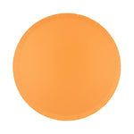 Shades Apricot Dinner Plates