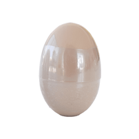 Egg Slime - 2 Color Options, Daydream Society