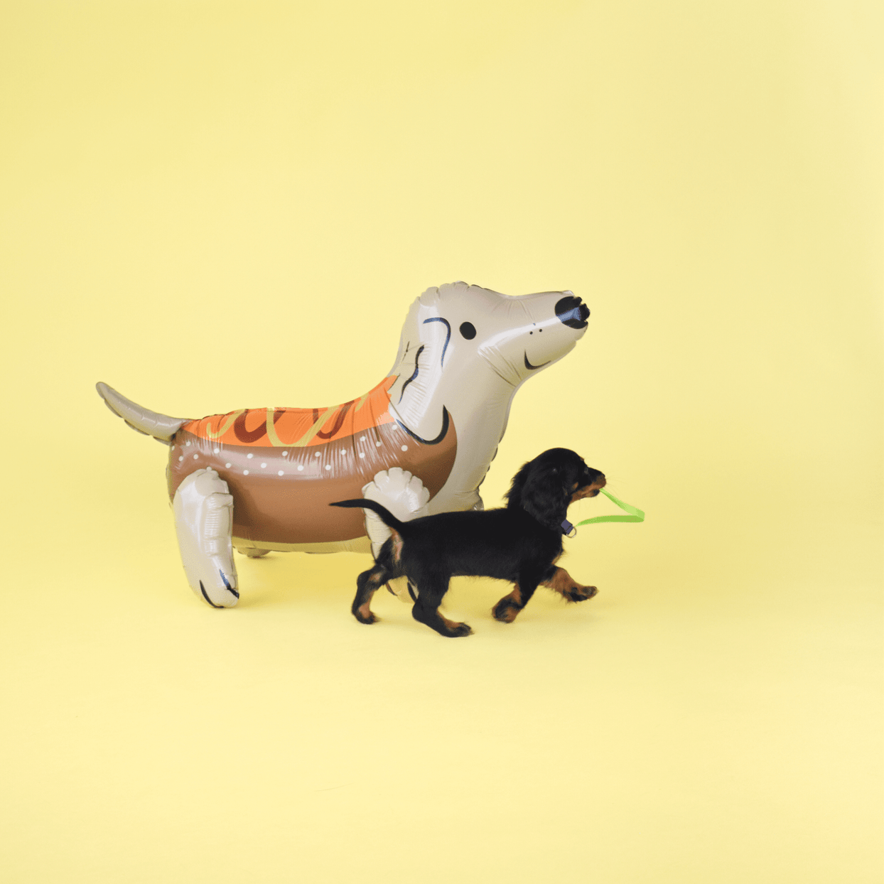Trick or Treat Street Hot Dog Dachshund Mylar Balloon, Daydream Society