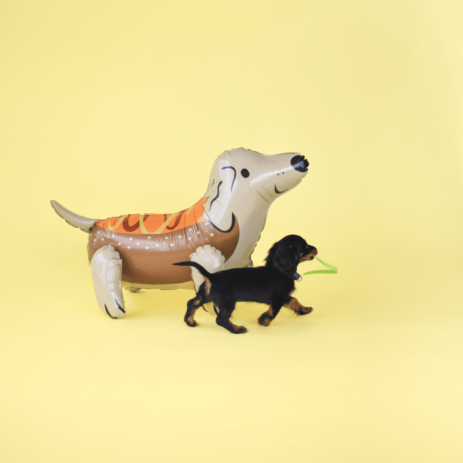 Trick or Treat Street Hot Dog Dachshund Mylar Balloon, Daydream Society