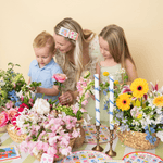 Seed Packet Hair Clips, Jollity & Co
