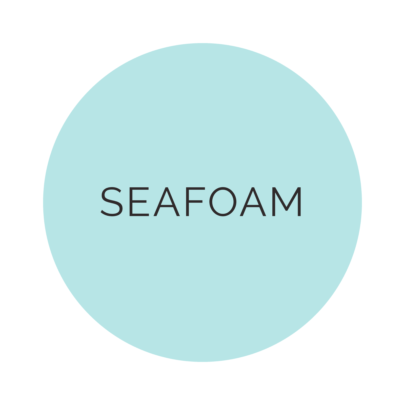 Shade Collection Seafoam Dinner Plates