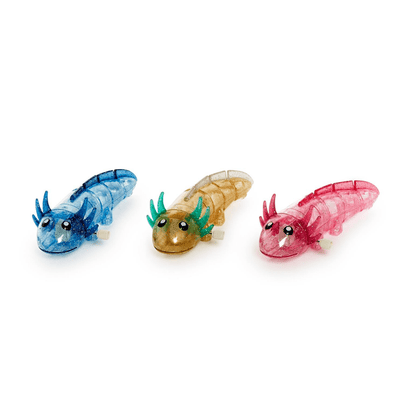 Axolotl Wind Up Toy - 3 Color Options, Shop Sweet Lulu