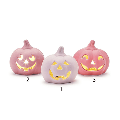 Boo-licious LED Pumpkin - 3 Style Options, Shop Sweet Lulu