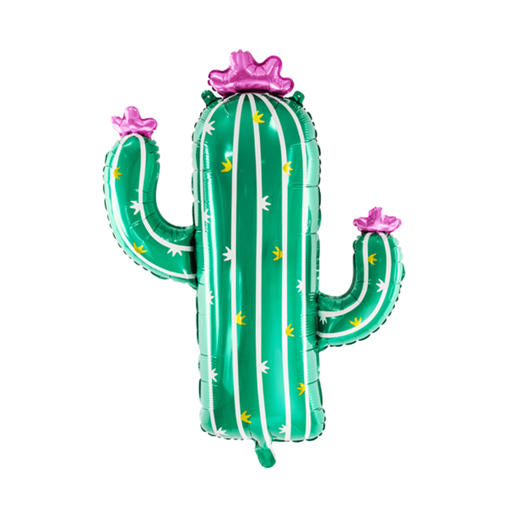 Cactus Balloon, Shop Sweet Lulu