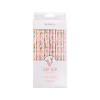 Carrots & Stripes Reusable Straws, Shop Sweet Lulu