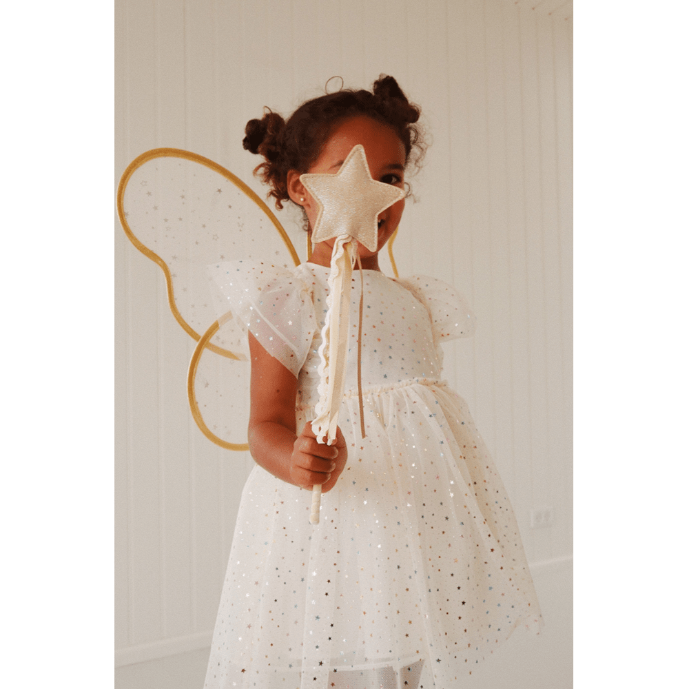 Fairy Costume Set - Fairy Etoile Fairy Costume Set - Fairy Etoile