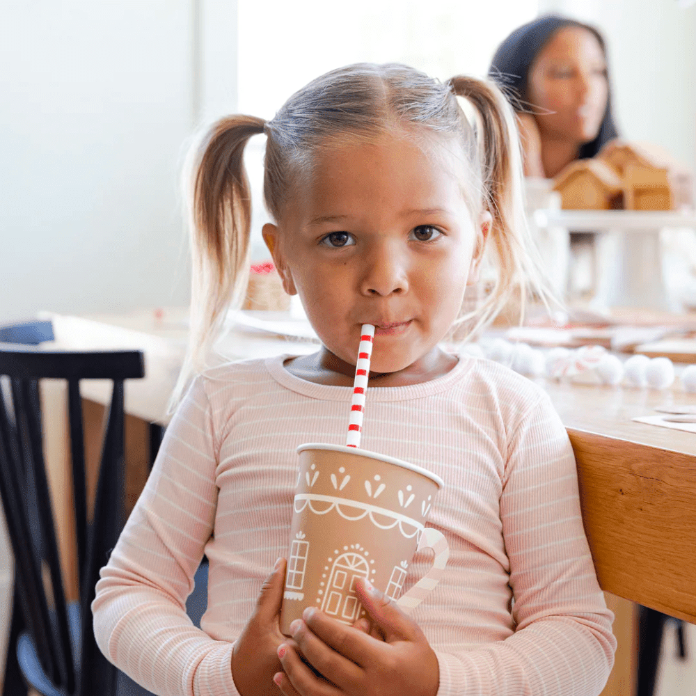 Gingerbread Reusable Straws, Shop Sweet Lulu