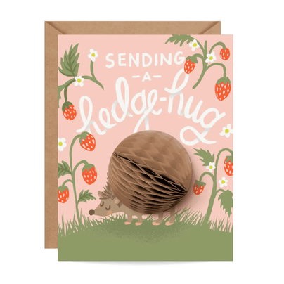 "Sending a Hedge-hug" Friendship/Encouragement Card