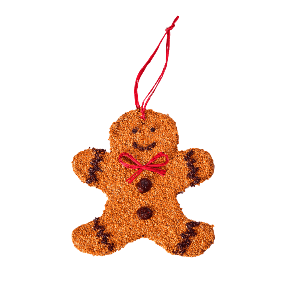 Holiday Birdseed Gingerbread Man, Shop Sweet Lulu