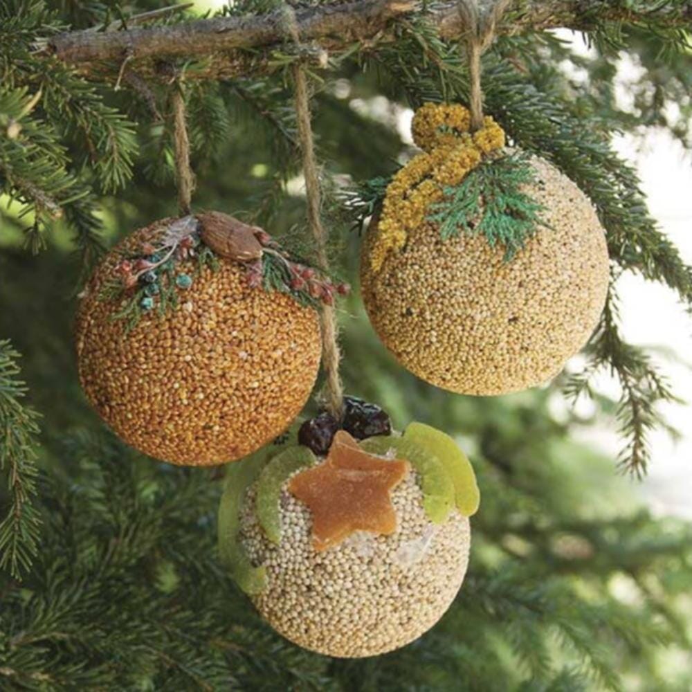 Holiday Birdseed Fruit Ornament Trio, Shop Sweet Lulu