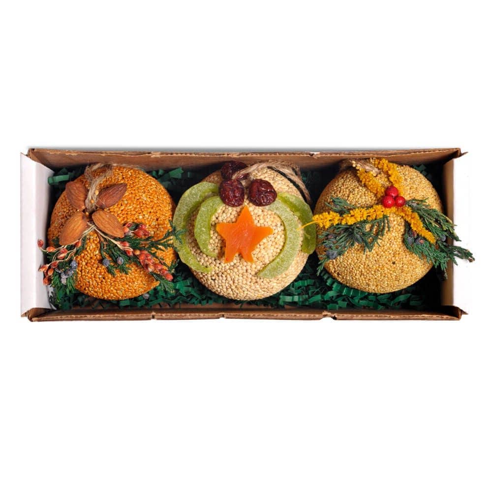 Holiday Birdseed Fruit Ornament Trio, Shop Sweet Lulu
