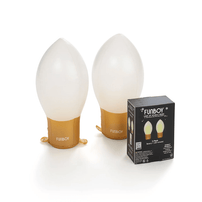Light Up Holiday Bulb Decor - 2 Pk., Shop Sweet Lulu