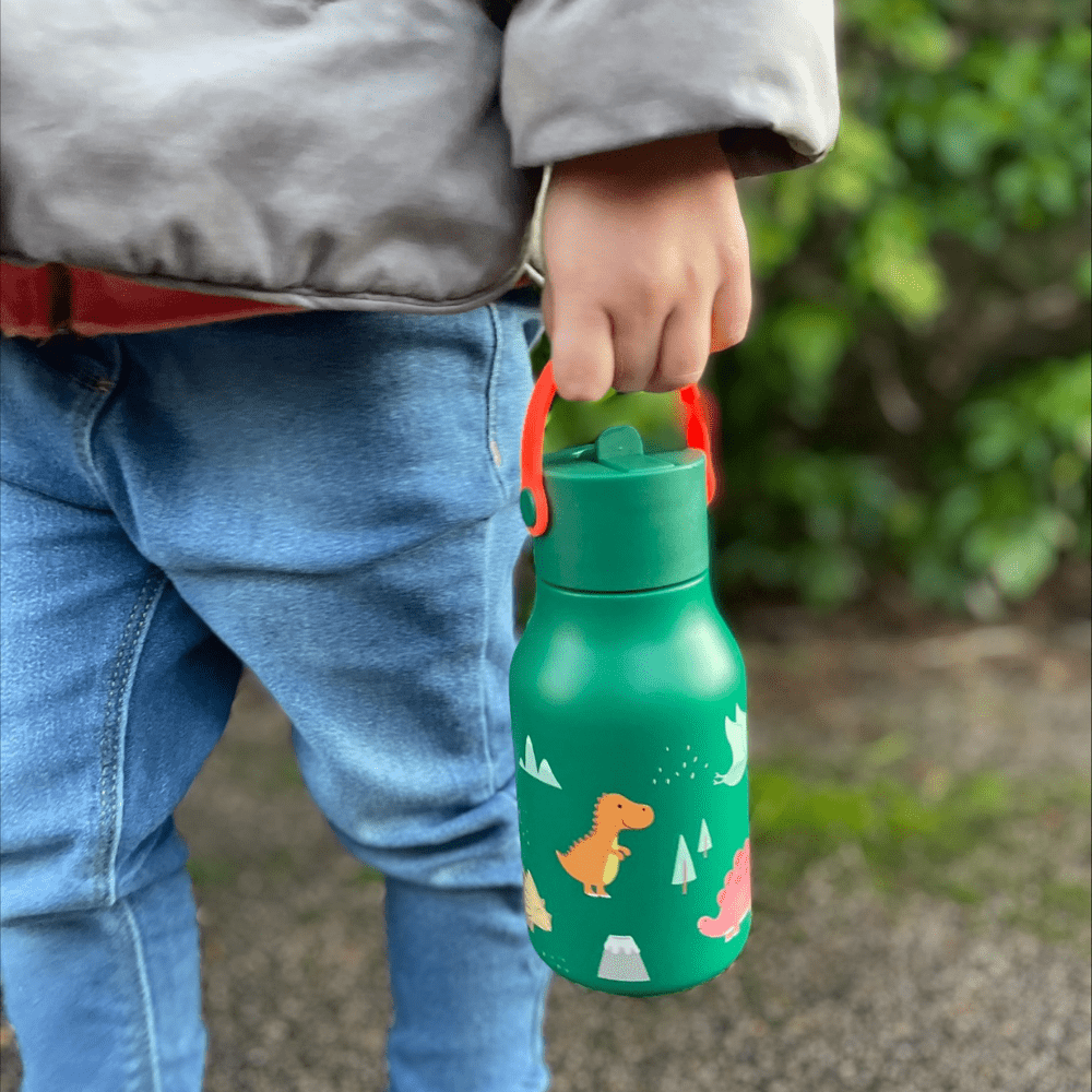 Little Lund Dino Water Bottle, Shop Sweet Lulu