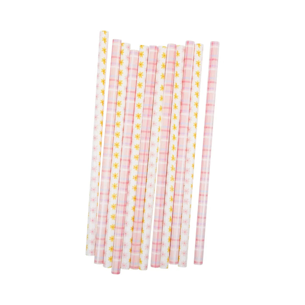 My Mind's Eye Pink Plaid Flowers Reusable Straws, Shop Sweet Lulu