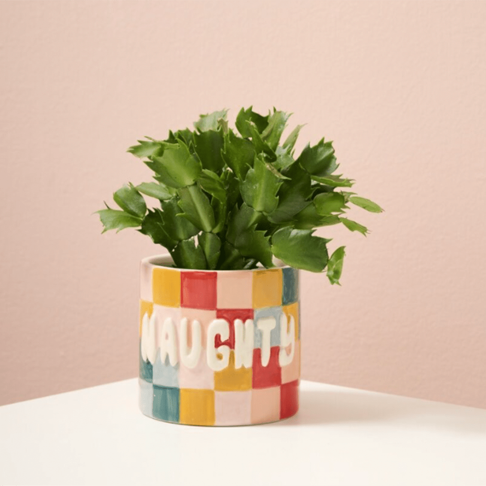 Naughty or Nice Planter, Shop Sweet Lulu