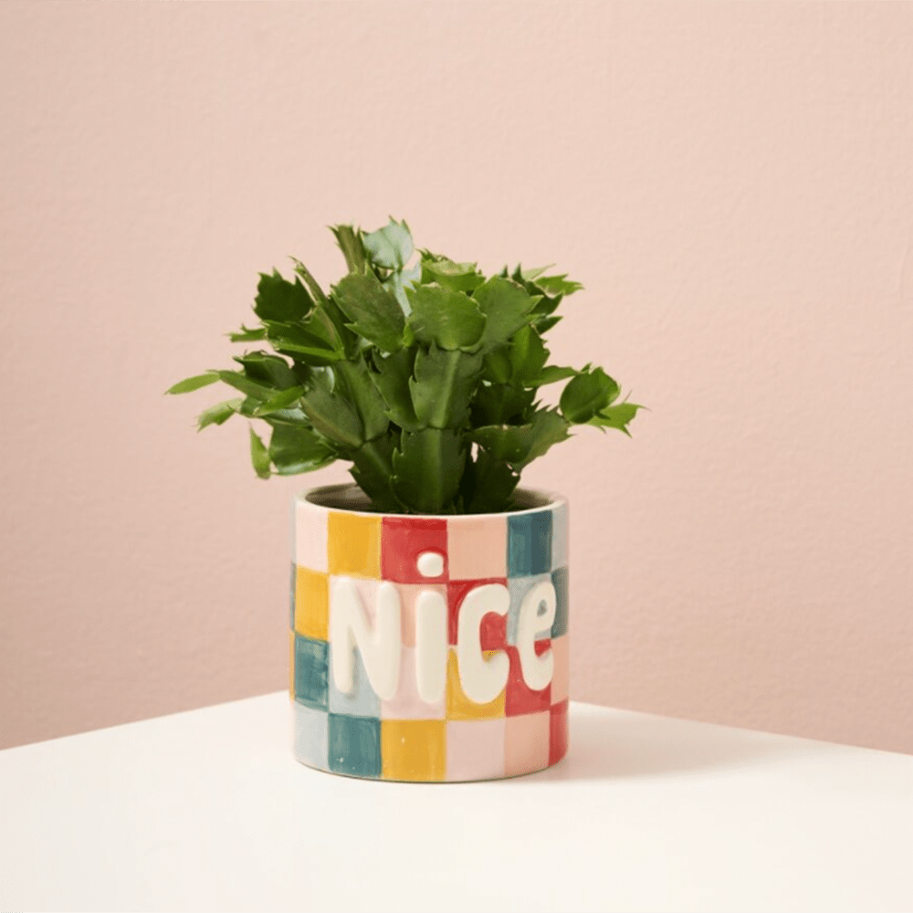 Naughty or Nice Planter, Shop Sweet Lulu