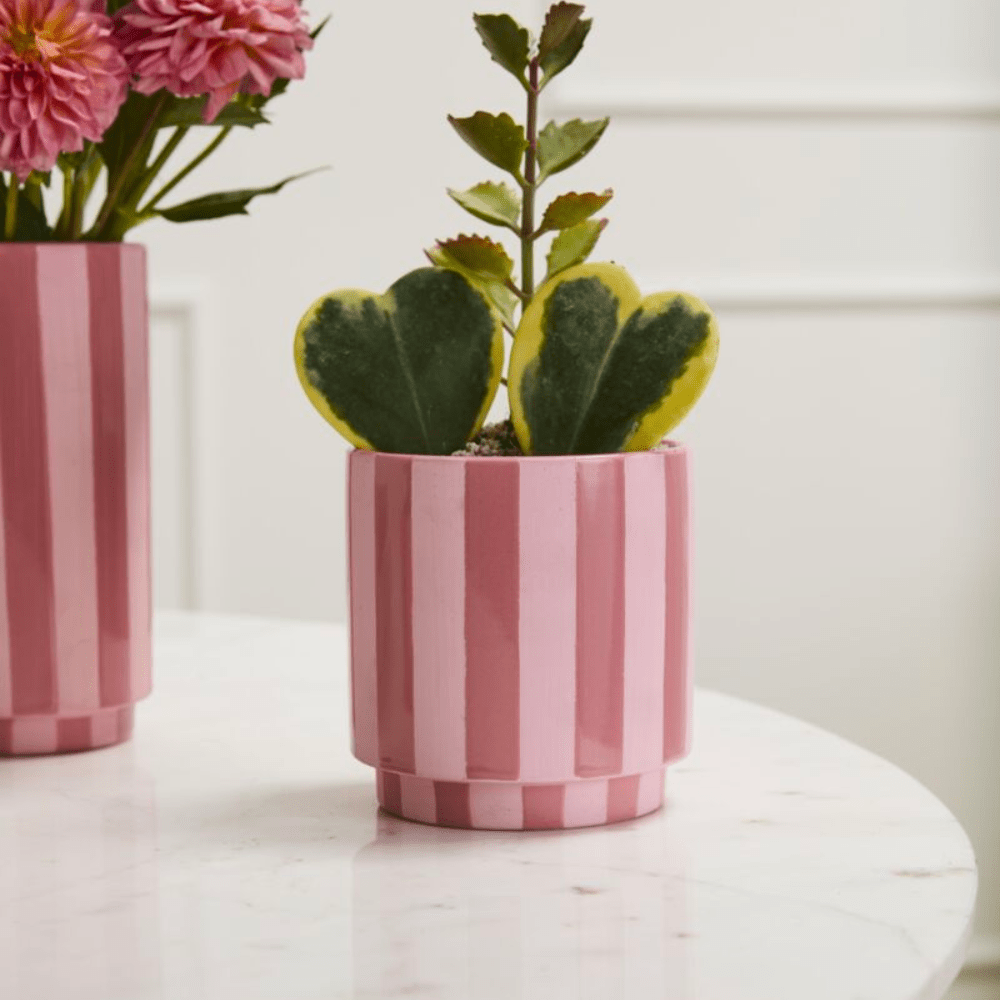 Pink Striped Pot, Shop Sweet Lulu