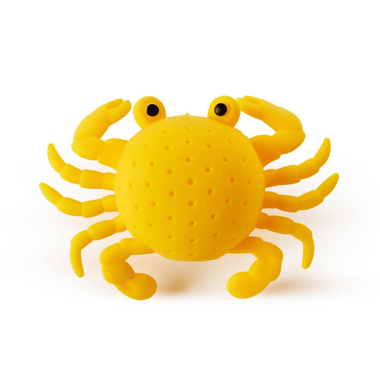 Sea Life Water Toy - 3 Style Options, Shop Sweet Lulu