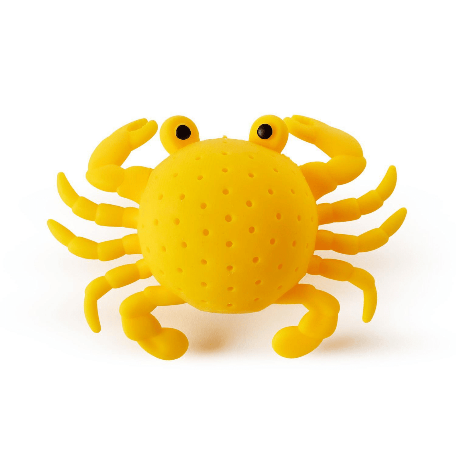 Sea Life Water Toy - 3 Style Options, Shop Sweet Lulu