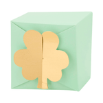  Shamrock Treat Box, Shop Sweet Lulu