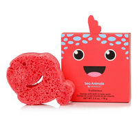 Spongellé Sea Animals Body Buffer - Fiona Fish, Shop Sweet Lulu