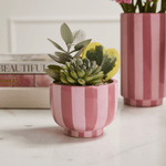 Pink Striped Compote, Shop Sweet Lulu