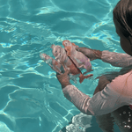 SunnyLife Dive Buddies Set of 3 - Melody the Mermaids, Shop Sweet Lulu