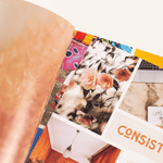 The Vision Board Book: 700+ Words & Images, Shop Sweet Lulu
