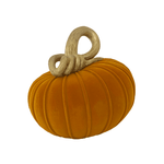 Flocked Curly Stem Pumpkin - 3 Style Options, Shop Sweet Lulu