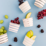 Cool Palette Frenchie Striped Baking Cups