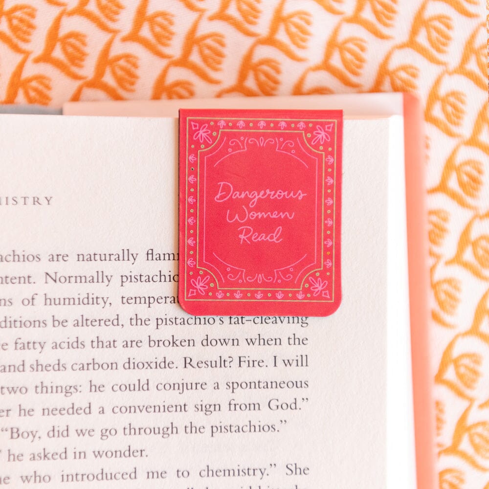 Book Club Magnetic Bookmark Set