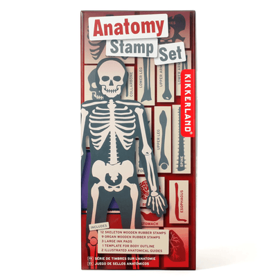 Anatomy Stamp Set, Shop Sweet Lulu
