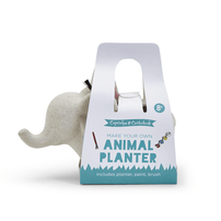 Animal Planter Paint Kit - 3 Style Options, Shop Sweet Lulu
