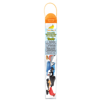 Backyard Birds TOOB®, Shop Sweet Lulu