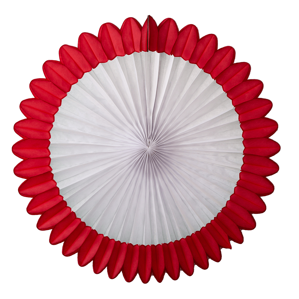 Deluxe Party Fan, 27