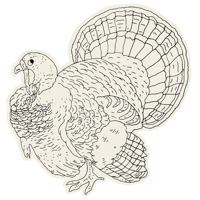 Die-Cut Turkey Coloring Placemats, Shop Sweet Lulu
