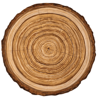 Die Cut Wood Slice Placemats, Shop Sweet Lulu