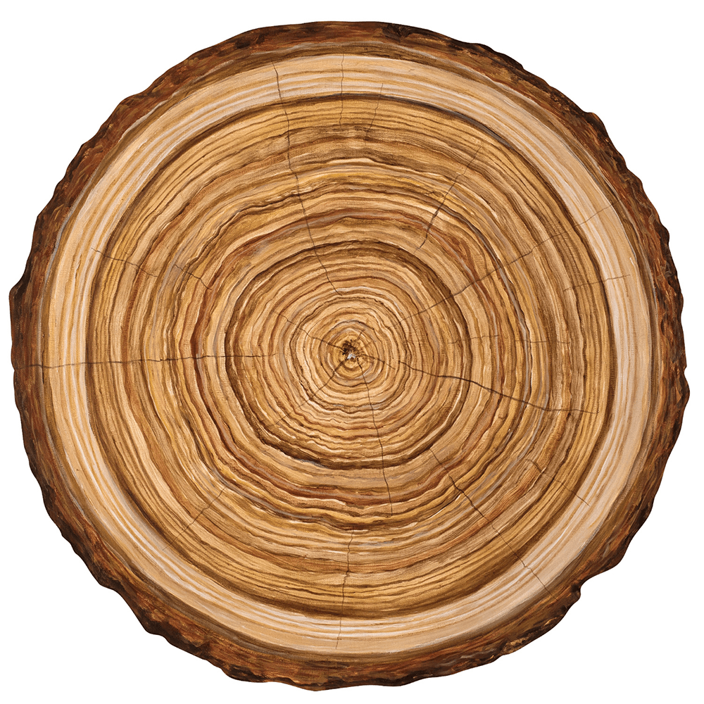 Die Cut Wood Slice Placemats, Shop Sweet Lulu