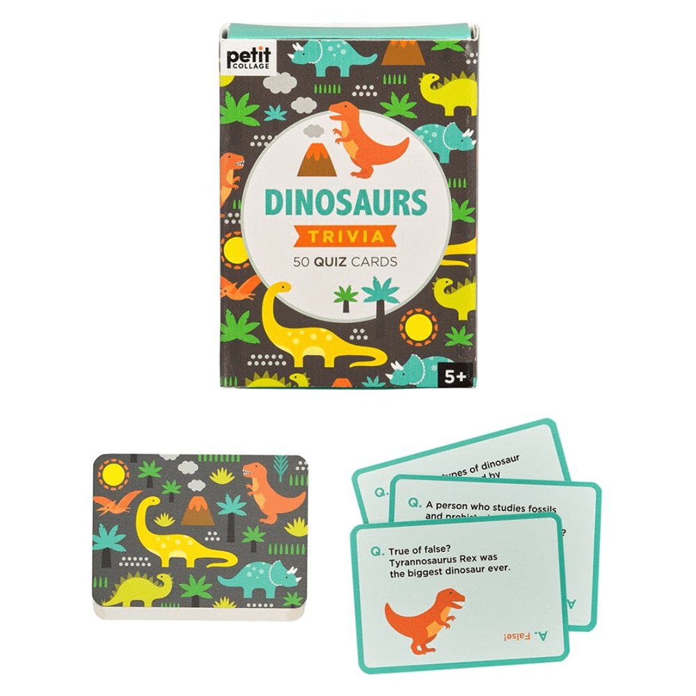 Dinosaur Trivia Cards, Shop Sweet Lulu