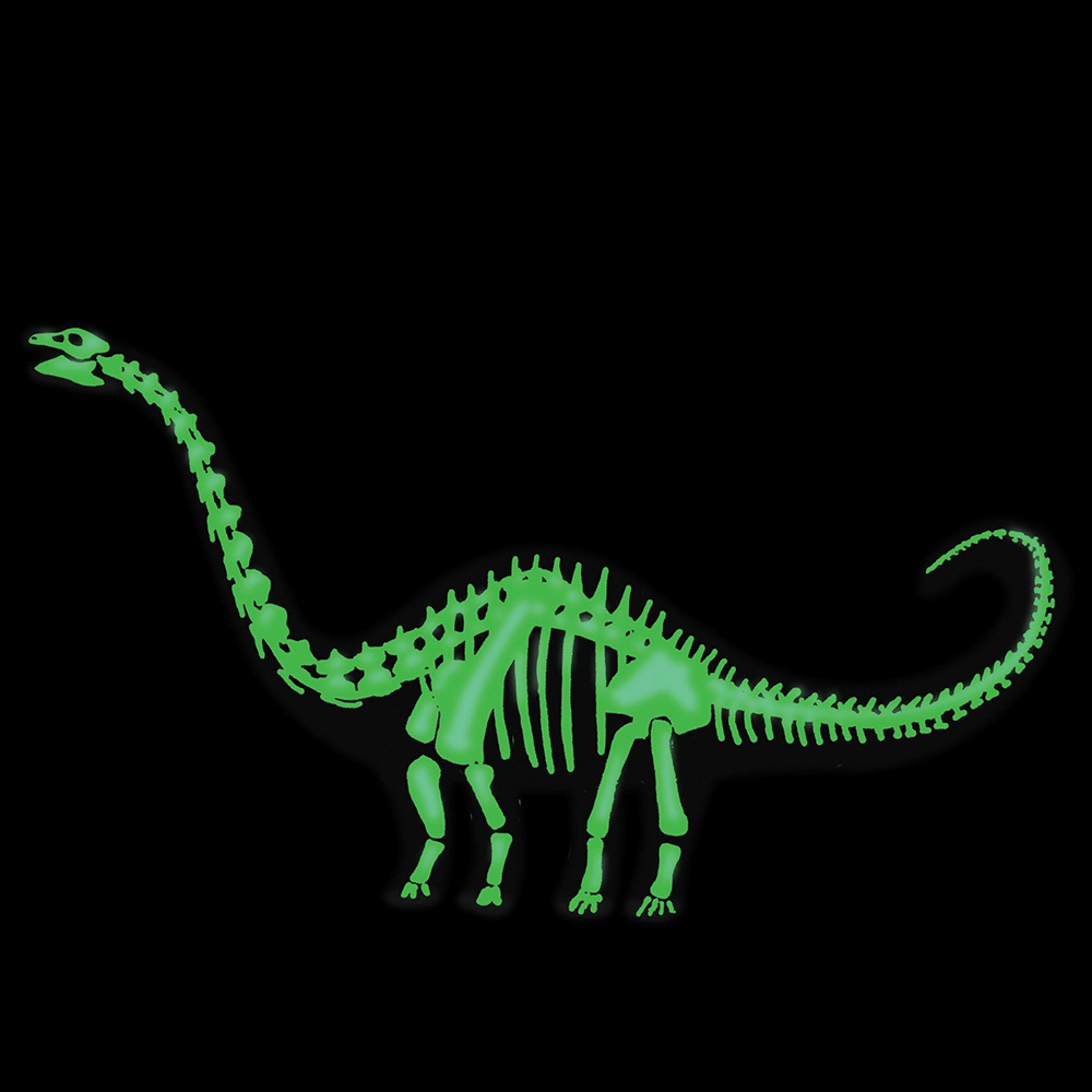 Diplodocus 3D Dinosaur Puzzle, Shop Sweet Lulu
