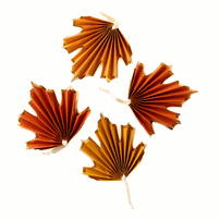 Fall Leaf Fan Banner, Shop Sweet Lulu