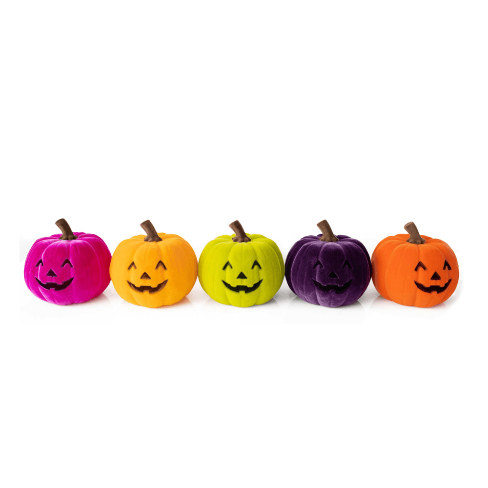 Flocked Jack O' Lantern - 6 Color Options, Shop Sweet Lulu