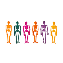 Flocked Skeleton, Small - 6 Color Options, Shop Sweet Lulu