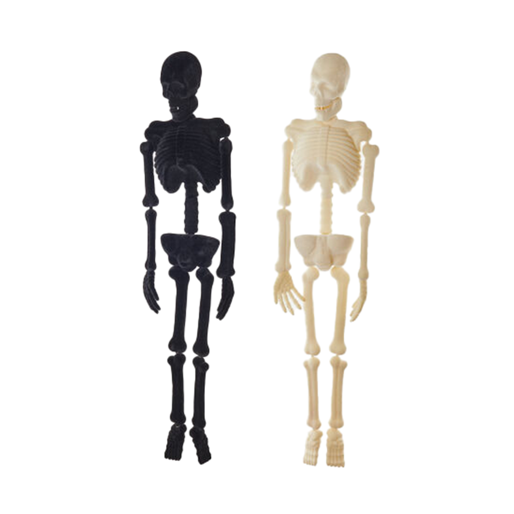 Giant Flocked Skeleton, Neutral - 2 Color Options, Shop Sweet Lulu