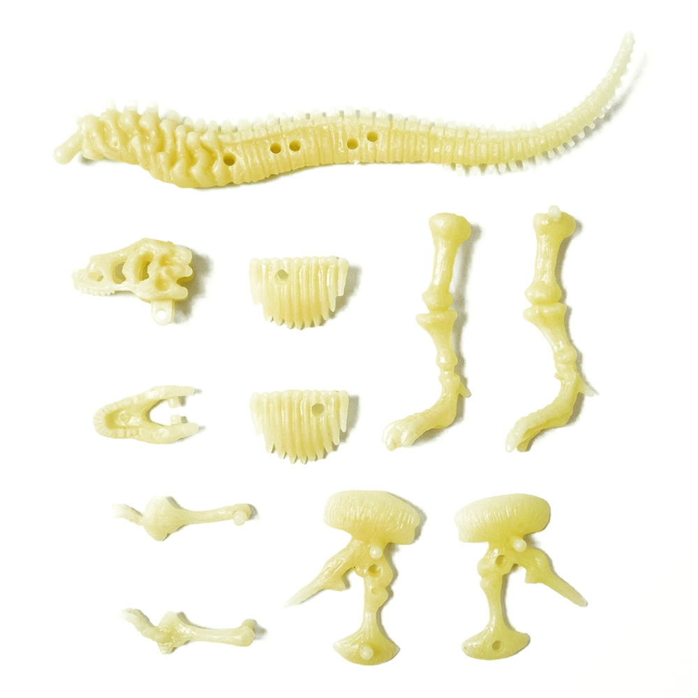 Glow T-Rex Skeleton Kit, Shop Sweet Lulu