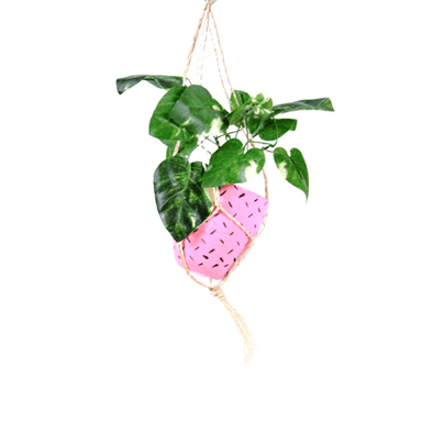 Hanging Plant Ornament - Pink, Shop Sweet Lulu