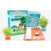 Herb Garden Kit, Shop Sweet Lulu